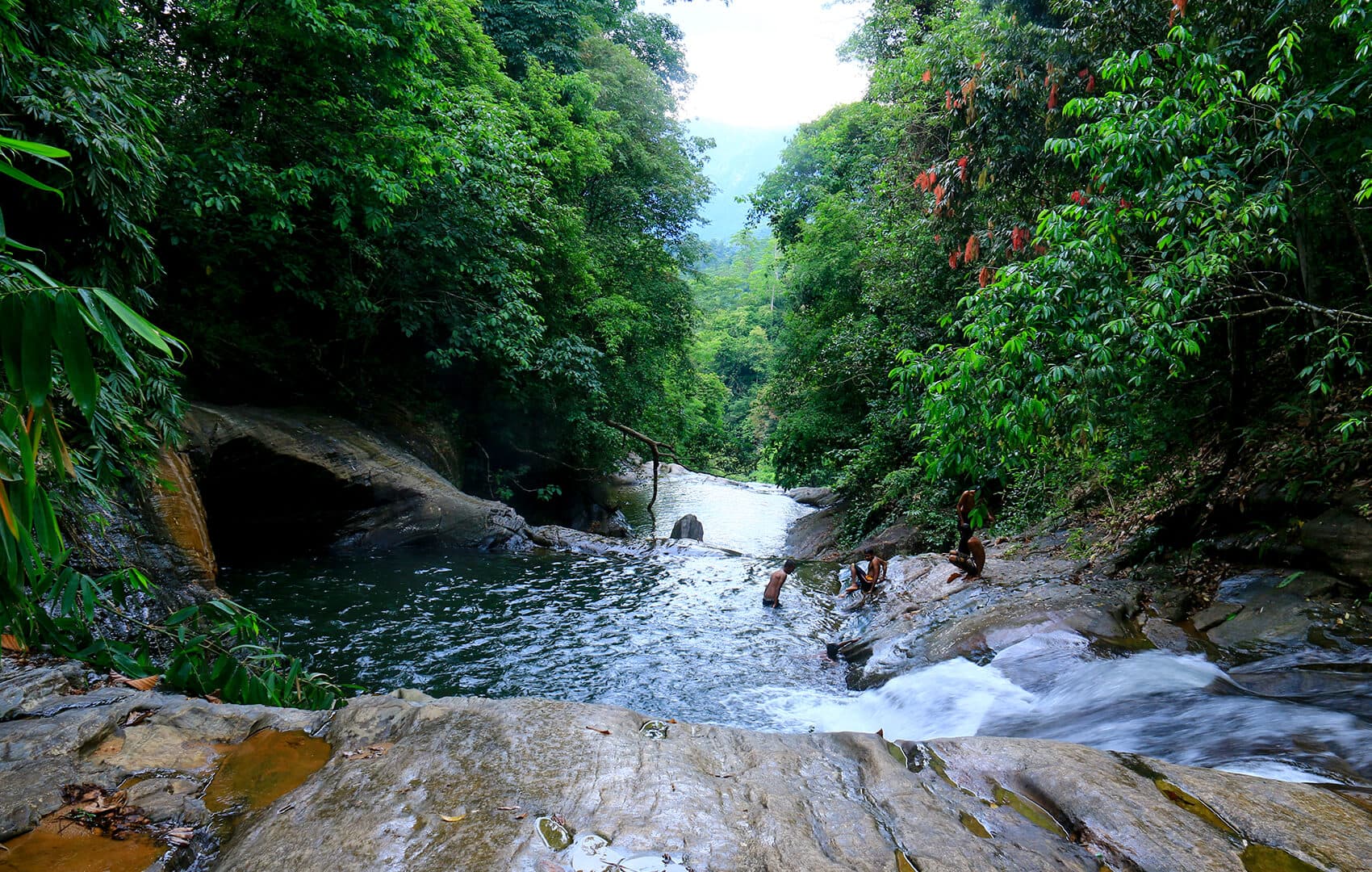 Scenic rainforest river view in Kithulgala, Sri Lanka